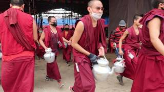 Monk dash  with tea kalachakra in bodhgaya his holiness Dalai Lama