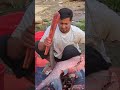 Amazing Big Katla Fish Cutting Skills #fish #fishcutting #fishcuttingskill #youtubeshorts