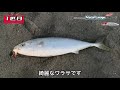 【ブリ】青物サーフジギングで初心者でも爆釣する方法！！