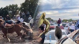 ASÍ DISFRUTAMOS LAS FAMOSAS COLEADAS 🐎💪🐮EN EL RANCHITO DE LOS GAXIOLA #ranchero95