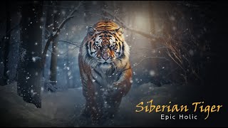 Siberian Tiger | Magnificent and Majestic Orchestral Music | Powerful Music