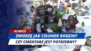 W Gliwicach ma powstać cmentarz dla zwierząt