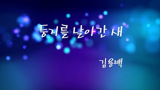 김용백- 둥지를 날아간새(3집앨법)