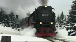 Wintermärchen im Harz