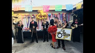 THE BEST MARRIAGE PROPOSAL W/ MARIACHI