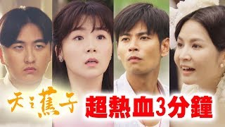 【天之蕉子】看完噴淚！3分鐘搶先看！堅持\