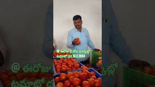 #రైతు ఈరోజు వి.కోట మార్కెట్లో ధర  #agriculture #all #marketprices # tomato prices