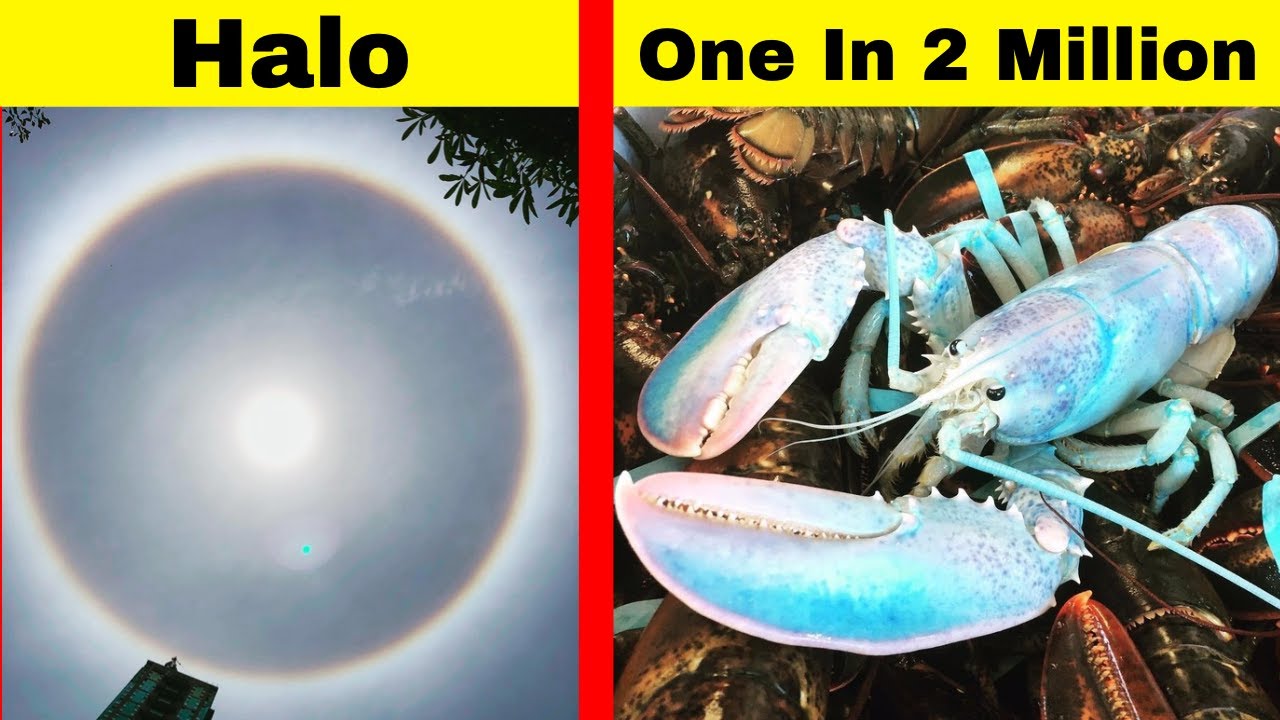 Amazing Things You Don T See Everyday Youtube