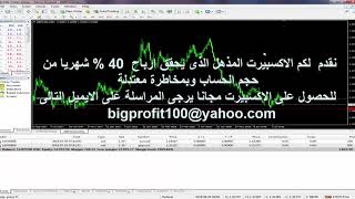 حقق 1000$ يومياً برأس مال10000$طريقة بن فريحان