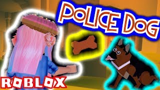Cakenoms Videos 9tube Tv - adopt a police dog play fetch feed them treats