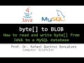 byte[] to BLOB: How to read and write byte[] from JAVA to a MySQL database