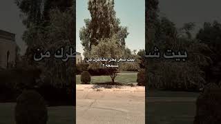 بيت شعر؟#ستوريات_ انستا_ قصيرة اقتباسات اشعار حزينة🖤