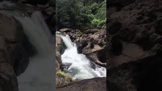 #PathangayamWaterFalls, #Narangathod #kozhikode #kerala #india #forest #waterfall #waterfallsounds