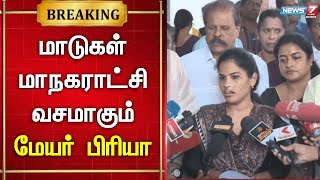 🛑LIVE : சாலையில் திரியும் மாடுகள் பிடிபட்டால் மாநகராட்சி வசமாகும் - சென்னை மேயர் பிரியா பேட்டி