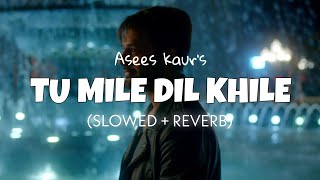 Tu Mile Dil Khile [Slowed + Reverb] - Asees Kaur | Lofi edits