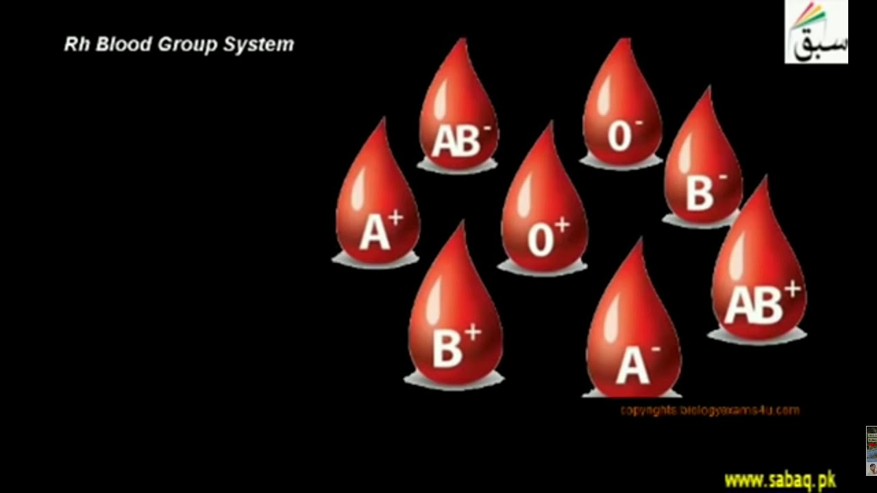 ABO Blood Group System - YouTube