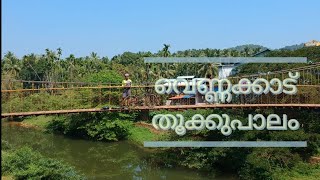 Vennakkad hanging bridge/vlog#58