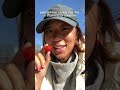 Strawberry tree fruit (Arbutus) vs