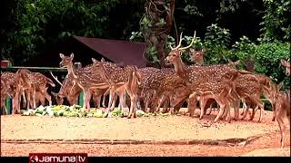 ১ নভেম্বর থেকে শর্তসাপেক্ষে খুলছে চিড়িয়াখানা | Zoo Open