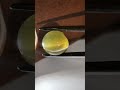 How to identify Chrysoberyl  l  Natural Alexandrite Cat's Eye Gemstone