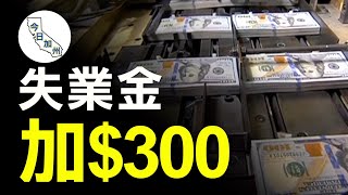 加州獲聯邦撥款恢復失業金 每人每週額外$300