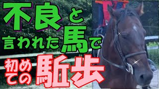 【乗馬初心者】馬を叱った事ありますか？悪い仔が気になって仕方ない！またまた大興奮の転回に！