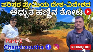 ಪರಿಸರ ಪ್ರೇಮಿಯ ಅಧ್ಬುತ ಹಣ್ಣಿನ ತೋಟ | ದೇಶ-ವಿದೇಶದ ಹಣ್ಣುಗಳು | Fruits🥝🍉🥑🍇🍒🍋 plants farming PART-1