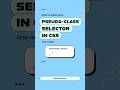 CSS Pseudo-Class Selectors Explained (:hover, :first-child, :last-child)