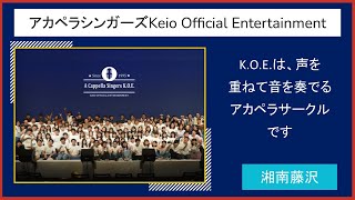 【2021慶應新歓実行委員会】　アカペラシンガーズKeio Official Entertainment