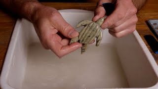 Beginner Soapstone Carving Sea Turtle How To Tutorial, Great for all ages!