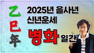 2025년 을사년 신년운세 병화일간