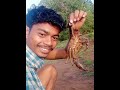 କେଡ଼େ ବଡ଼ କଙ୍କଡ଼ା ଆସ ଦେଖିବ new short mrananganaikvlogger new viral odia youtube youtubeshorts