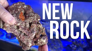 Adding live rock to established saltwater aquarium - KP Aquatics live rock for saltwater tanks