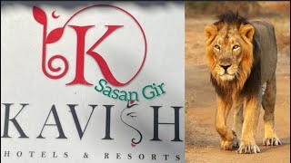 Sasan Gir Kavish Gir Lion Resort Luxurious Stay feel like Jungle Stay #sasangir #resort #bestresorts