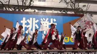 肥後真狗舞　東熊祭　城望