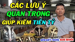 Những Lưu Ý Quý Báu Bà Con Nên Biết Trước Khi Chăn Nuôi Chồn Mốc | Trại Chồn Giống Miền Tây