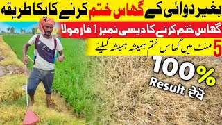 Best Herbicide | Ghas Marne Ki Desi Dawa |No1 indigenous formulaburn grass forever without medicine