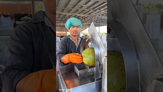 জাপানে ফল কাটার সুন্দর পদ্ধতি 🧐।। Japanese Fruit Cutter.