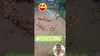Interesting people moments 😱🔥| skating awesome #viral #amazing #trending #reaction #unbelievable