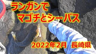 朝マズメ、夕マズメのランガンでマゴチとシーバスを釣る　2022年2月長崎県