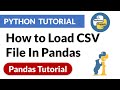 How to Load CSV file In Pandas | Pandas Python Tutorial | PyPower