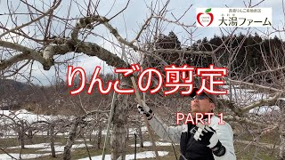 りんごの木の剪定　part1