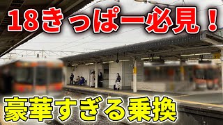 【快適すぎて寝落ち】ロングシート地獄の静岡地区東海道線で18きっぱーを救う神乗り継ぎを実践！　#青春18切符 #東海道線 #東海道本線 #東海道線静岡地区  #313系 #313系8000番台