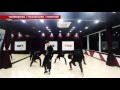 창원tns exo 엑소 monster 몬스터 안무 cover dance 7members ver.