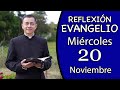 Evangelio de Hoy Miércoles 20 de Noviembre de 2024  Lectura y Reflexión