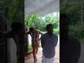 ഇത് അത്ഭുത കിണര്‍ കണ്ടു കണ്ണ് തള്ളരുത്