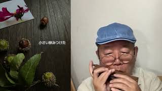 秋風に誘われてHARMONICA【小さい秋みつけた】Tokunaga Sound：徳永延生71才のオールラウンドなハーモニカ吹きがクロマチックハーモニカで吹いてみた。