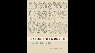 The Controversial Tale of Haeckel’s Embryos