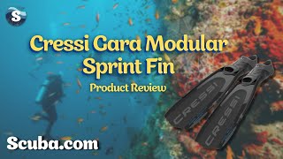 Product Review: Cressi Gara Modular Sprint Fin