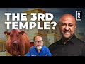 The Third Temple & Timeline | The Red Heifer Pt. 3